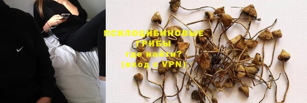 дживик Вяземский