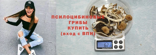 дживик Вяземский