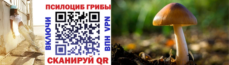 Галлюциногенные грибы Magic Shrooms  как найти закладки  Ростов-на-Дону 